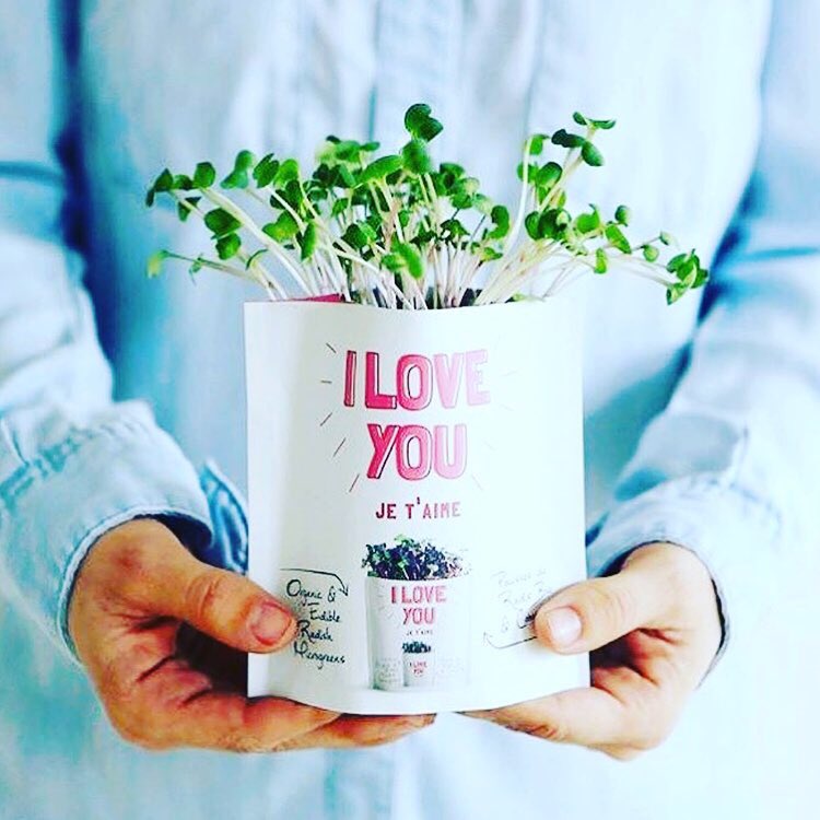 giftagreen's tweet photo. Psst... you still have time to send your ♥️ a Valentines Card. Use code LOVE to save 35%. You’ll have💰left to also buy some chocolates.
#giftagreen #valentines #valentinesdaygift #lastminutegifts #valentinescard #sustainablebrand #organic #vegan #vegangifts #sendlove #love https://t.co/e8jk3cA84Y