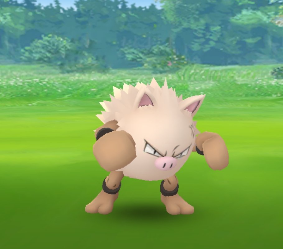 オコリザル Twitter Search