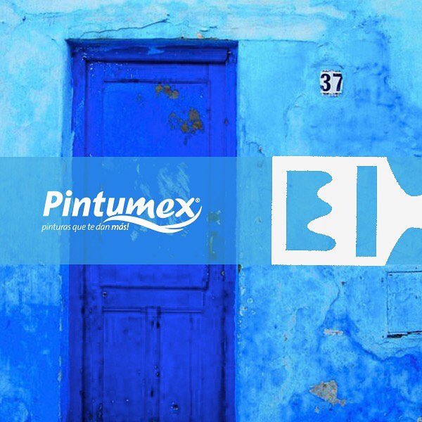 PintumexQro's tweet photo. #Pintumex. Más de 40 años pintando nuestro México
#pinturasquetedanmás #elmayorrendimiento
📸 @PintumexOficial https://t.co/YC45jYmlom