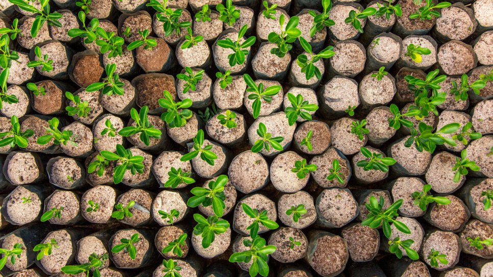 SafariEinstein's tweet photo. Sólo plantando las semillas inteligentes en nuestra mente, iremos creciendo y dando frutos de bienestar emocional.

Desarrollado con éxito el taller de Gestión del estrés de nuestra Escuela de Inteligencia Emocional Safari Einstein.

Gracias Equipo Safari! Cada vez somos más!. https://t.co/Hu4EPOBRKb