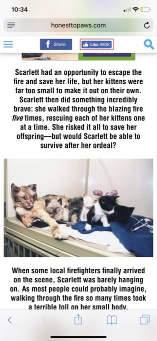 Watch Soph ❤️‍🔥's leaked NSFW photo on TwXstars