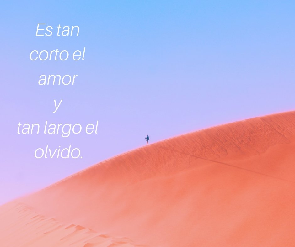 buaplibrerias's tweet image. #BUAPLibrerías recomienda veinte poemas de amor y una canción desesperada , de Neruda 
#MesDelAmor