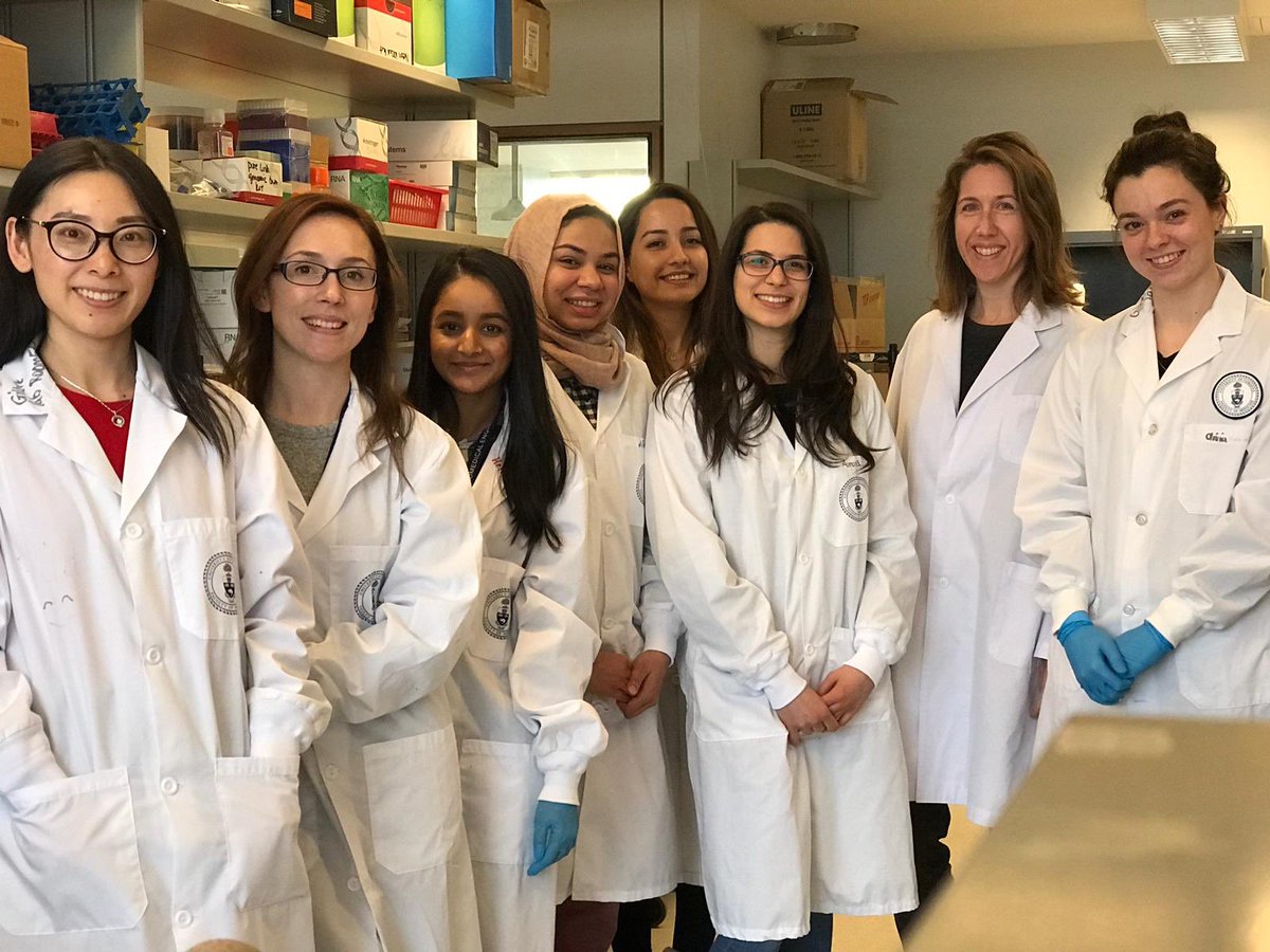 DrLouiseMoyle's tweet photo. Today we’re celebrating international #WomenInScienceDay with this lovely bunch 😊 #InternationalDayOfWomenInScience #WomenInSTEM #WeAreStemCells #gilbertlab #UofT https://t.co/4xQwNgh0yW