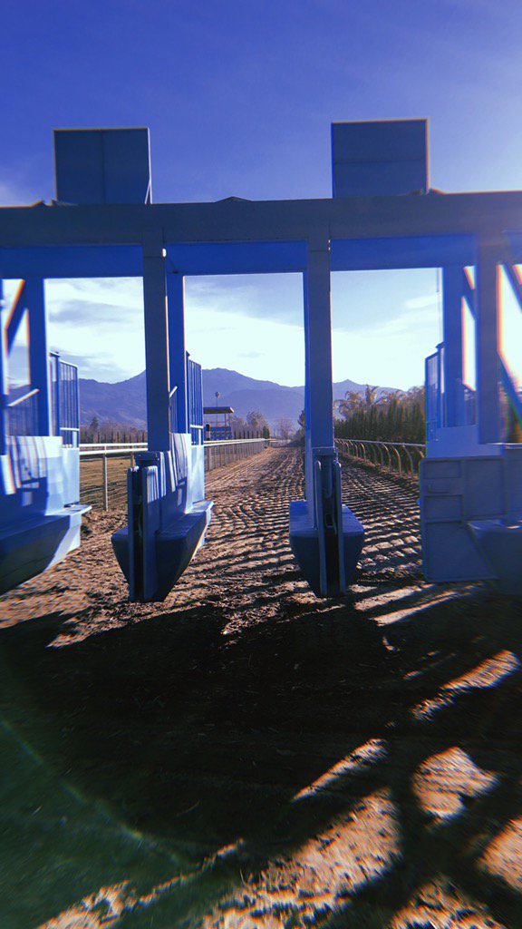 annamlanier's tweet photo. 🏇💙 https://t.co/xBHBwOTKn1