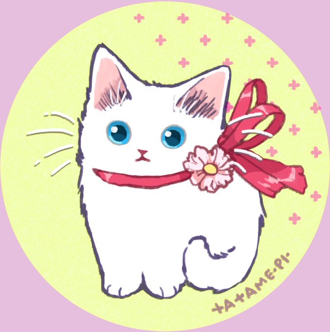 「花 白い猫」のTwitter画像/イラスト(古い順)