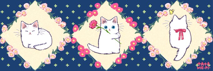 「瞑目 白い猫」のTwitter画像/イラスト(新着)｜21ページ目
