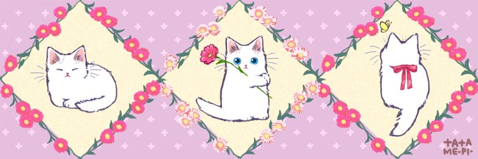 「寝そべり 白い猫」のTwitter画像/イラスト(新着)｜7ページ目