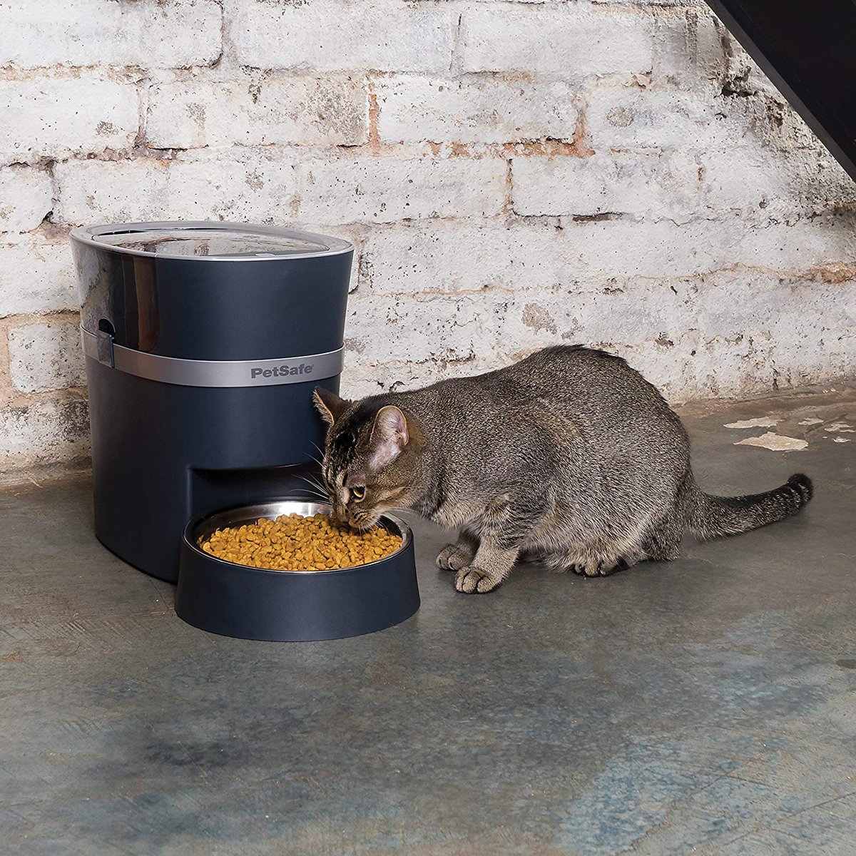 Petfeeder Hashtag On Twitter
