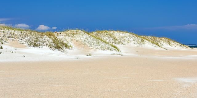 Sand dunes along the North Carolina coast at Fort Macon State Park
#visitnc
#sanddunes
#fortmacon
#atlanticbeach
#ncstatepark
#fortmaconbeach
#explorenorthcarolina