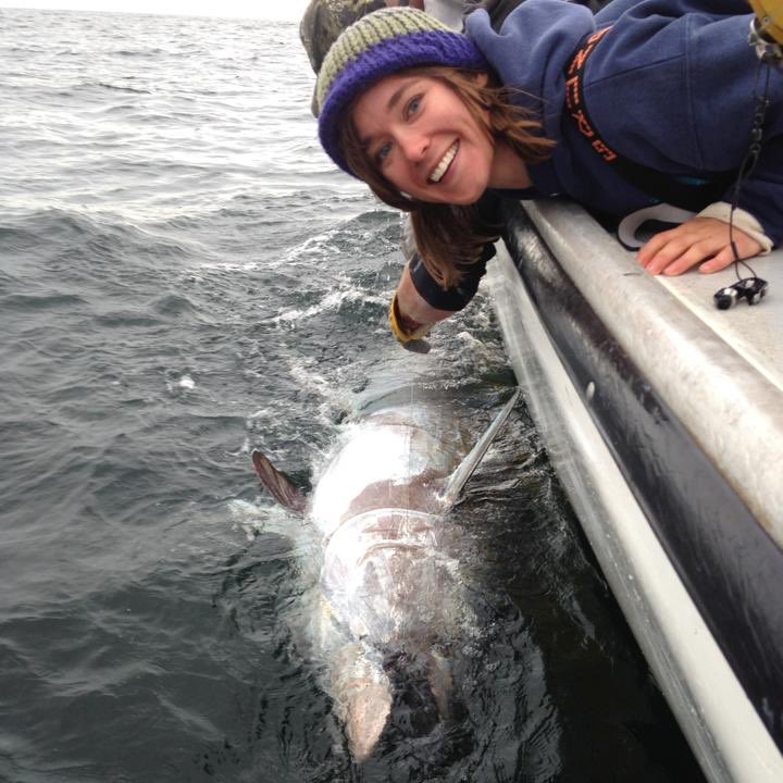 A_WhiteShark tweet picture