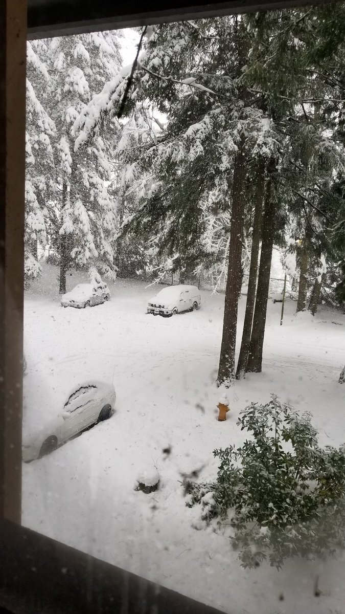 DanielFinfer's tweet image. Oscillating between freezing rain and heavy snow in Olympia - at hotel but my house near Steamboat Island has no power at the moment #olympia #olympiapower