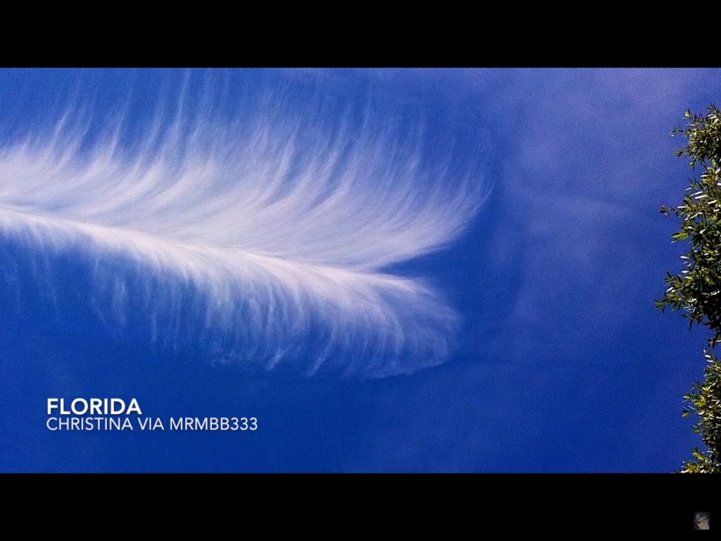 PLANET X/WORMWOOD tweet media