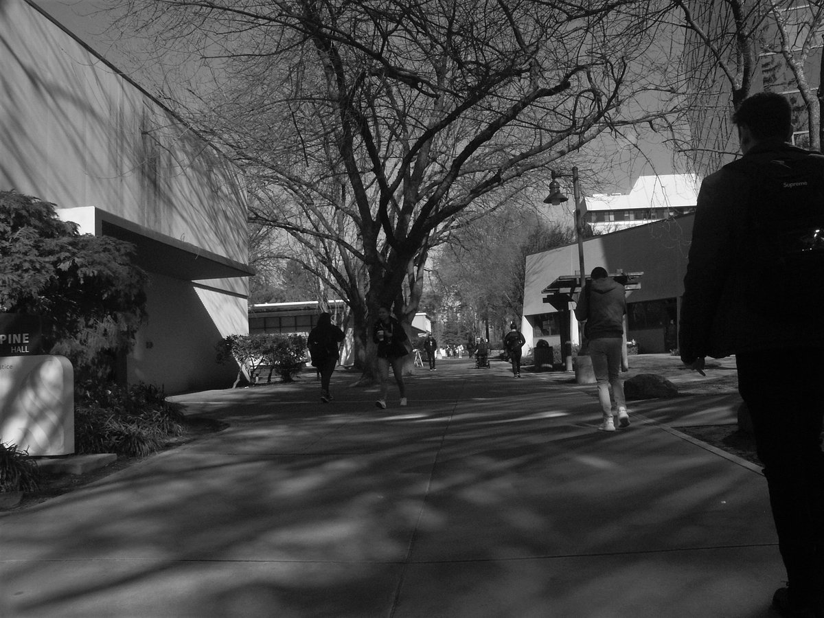 tg_pix_'s tweet photo. Campus zombies
•
•
•
#photo #photographer #photography #amaturephotography #bw #sac #sacramento #sacstate #college #tree #zombie #shadows #dull https://t.co/mxbCU7EIKA