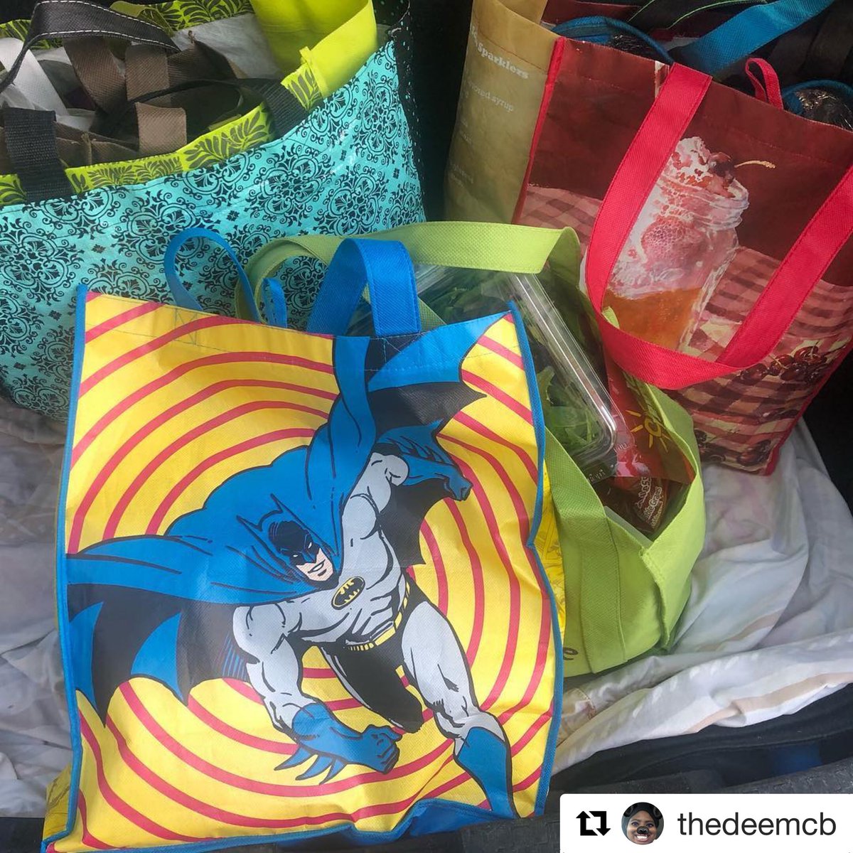 BatConservancy's tweet photo. Our Development Coordinator posted this: “There were 11 reusable shopping bags in my car. I counted. Now there are 12. #BecauseBatman”
We’d tell her to slow down but that would make us the BIGGEST hypocrites... 😉
#ShowYourPassion https://t.co/7C4o1UMqiE