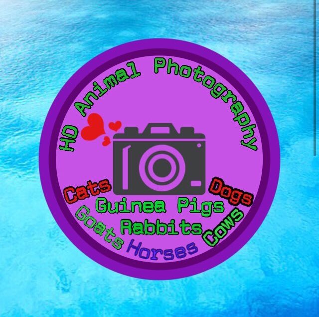 This Is My Logo