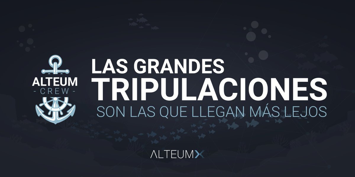 AlteumX en Español tweet media