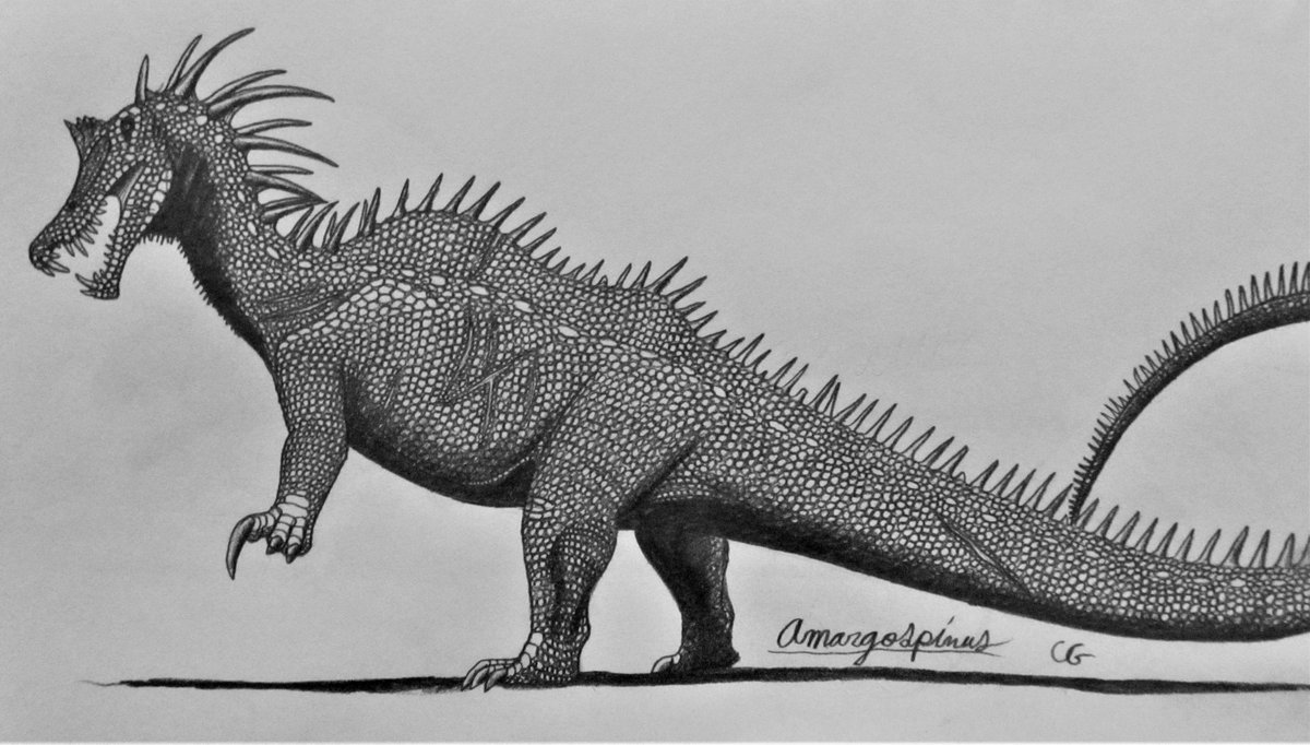 My redesign of the Amargospinus(hybrid of Amargasaurus and Spinosaurus) from the Jurassic Park Chaos Effect toy line.