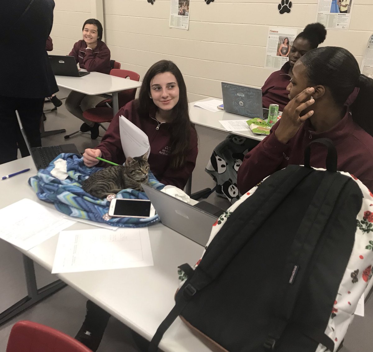 I don’t know about you but I would be distracted by the furry felines on the desks. Fortunately, our Veterinary Science students are dedicated to getting their work done first and then take time to cuddle. #ONEccps <a href="/CCPSCTE/">CCPSCTE</a>