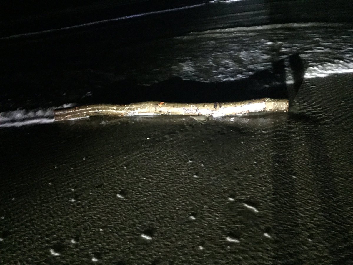 wouter935's tweet image. Eerste 2 stammen zijn binnen! #jutten #strand