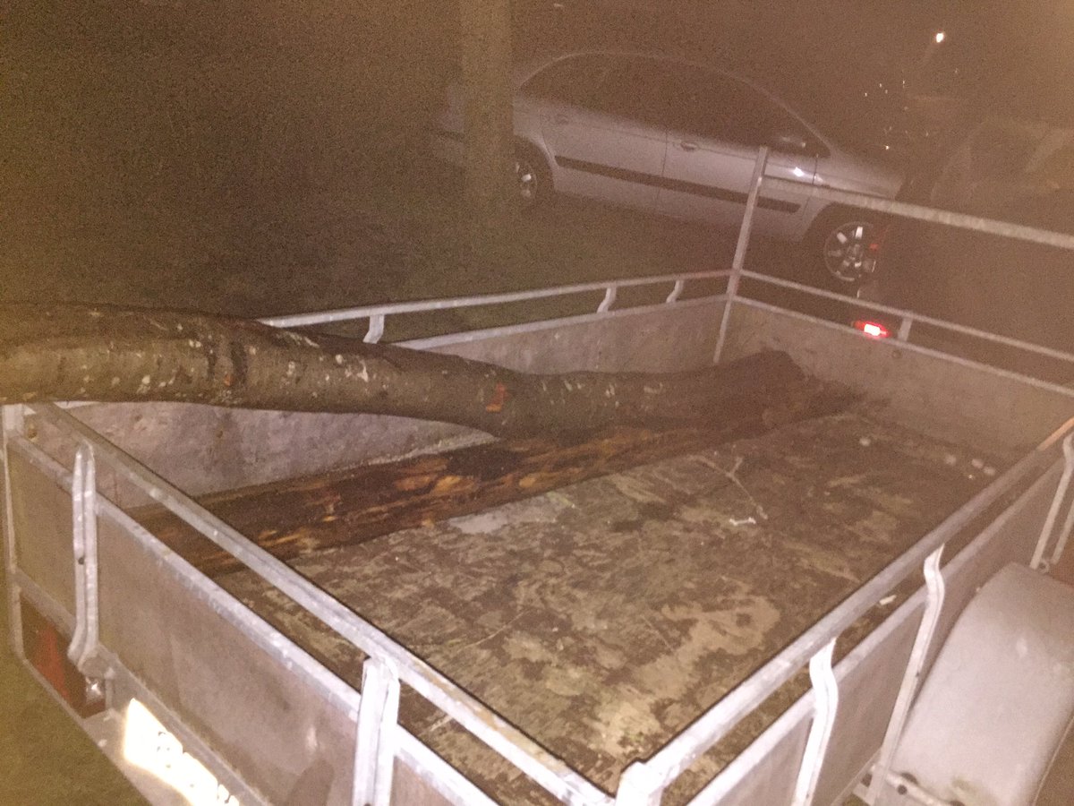 wouter935's tweet image. Eerste 2 stammen zijn binnen! #jutten #strand