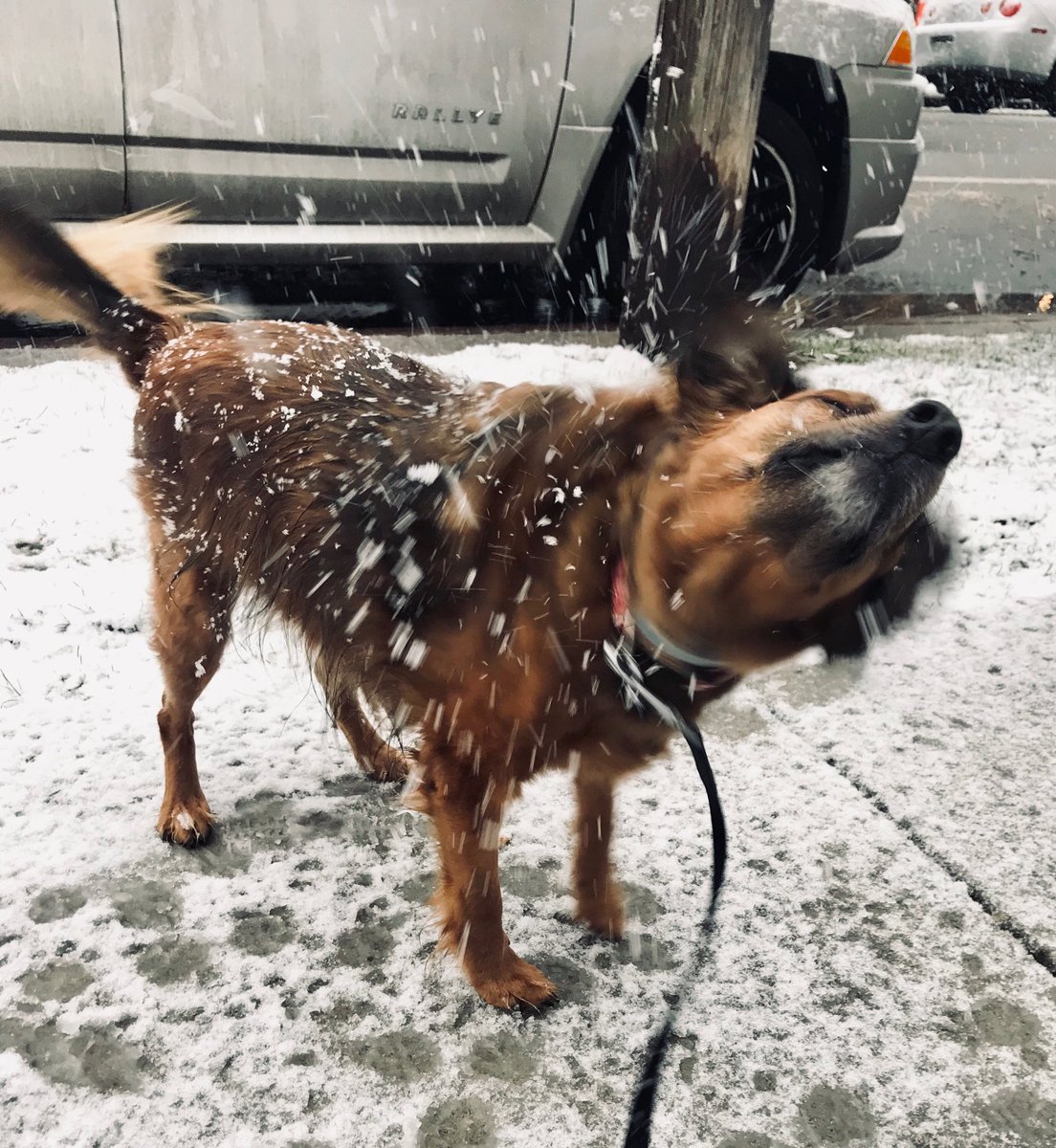 WritingWithSam's tweet image. Colorado is heavenly + ice cream. XO - Sam