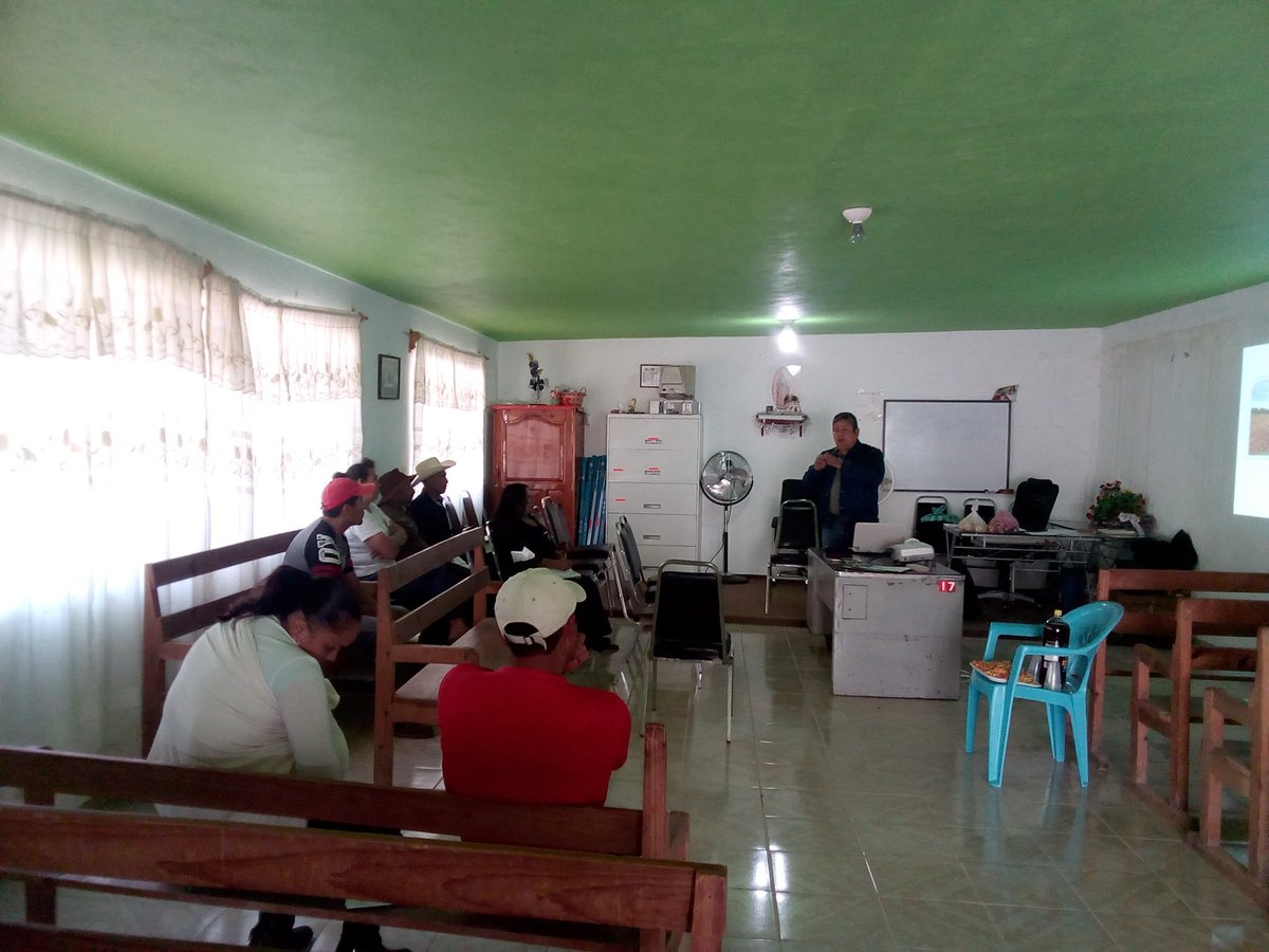 LauraMo15509334's tweet photo. #ExtensionismoHIDALGO realiza taller de "Estrategias para el mejoramiento de producción en maíz criollo, híbrido y control de plagas", San Lorenzo Sayula, Cuautepec Hgo.
@Car_Muniz
@ecarizpe
@SEDAGRO_HIDALGO
@EduardoVM19
@crpachtula
@jvfalcon2
@chimalisra https://t.co/dcEbuGzySn