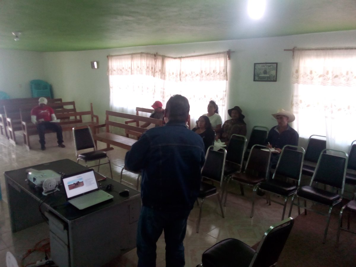LauraMo15509334's tweet photo. #ExtensionismoHIDALGO realiza taller de "Estrategias para el mejoramiento de producción en maíz criollo, híbrido y control de plagas", San Lorenzo Sayula, Cuautepec Hgo.
@Car_Muniz
@ecarizpe
@SEDAGRO_HIDALGO
@EduardoVM19
@crpachtula
@jvfalcon2
@chimalisra https://t.co/dcEbuGzySn