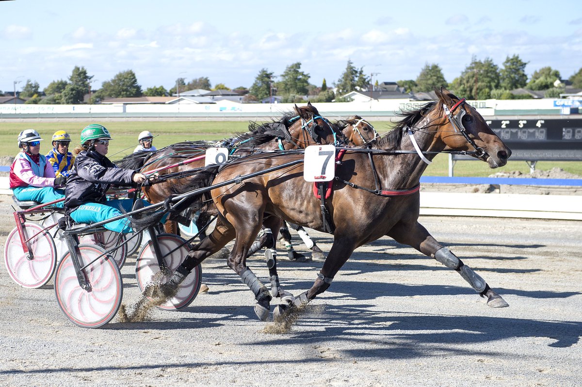 History for Michael House today. An NZ record equalling 7 training wins at Manawatu. The first by a solo licence-holder.

theinformant.co.nz/house-creates-…