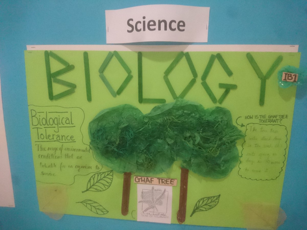 ReptonDXBBio's tweet photo. It's not just the UAE that is tolerant as tolerance in biology means the range of conditions that an organism can survive in. The Ghaf Tree (Prosopis cineraria) has roots that go as deep as 30m below the ground to access water) #reptondxbbiology #biologyisamazing https://t.co/AeFlC46vvS