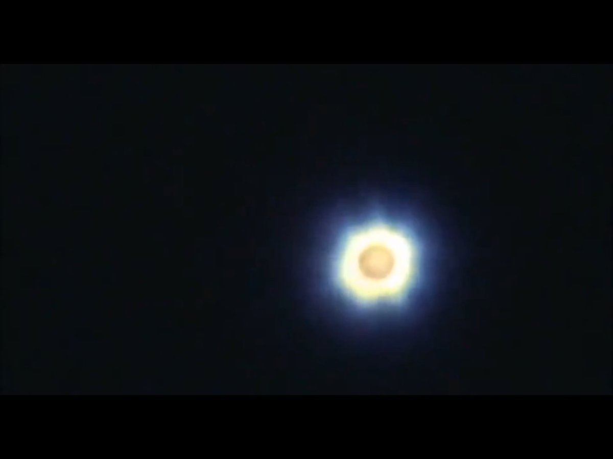 PLANET X/WORMWOOD tweet media