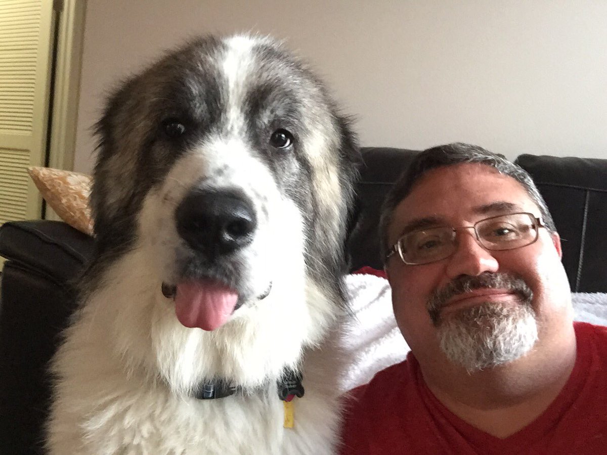 Gr33n3J3ff's tweet photo. Bring on the herders! #BestAtHomeContest https://t.co/L4EJn5bi4N