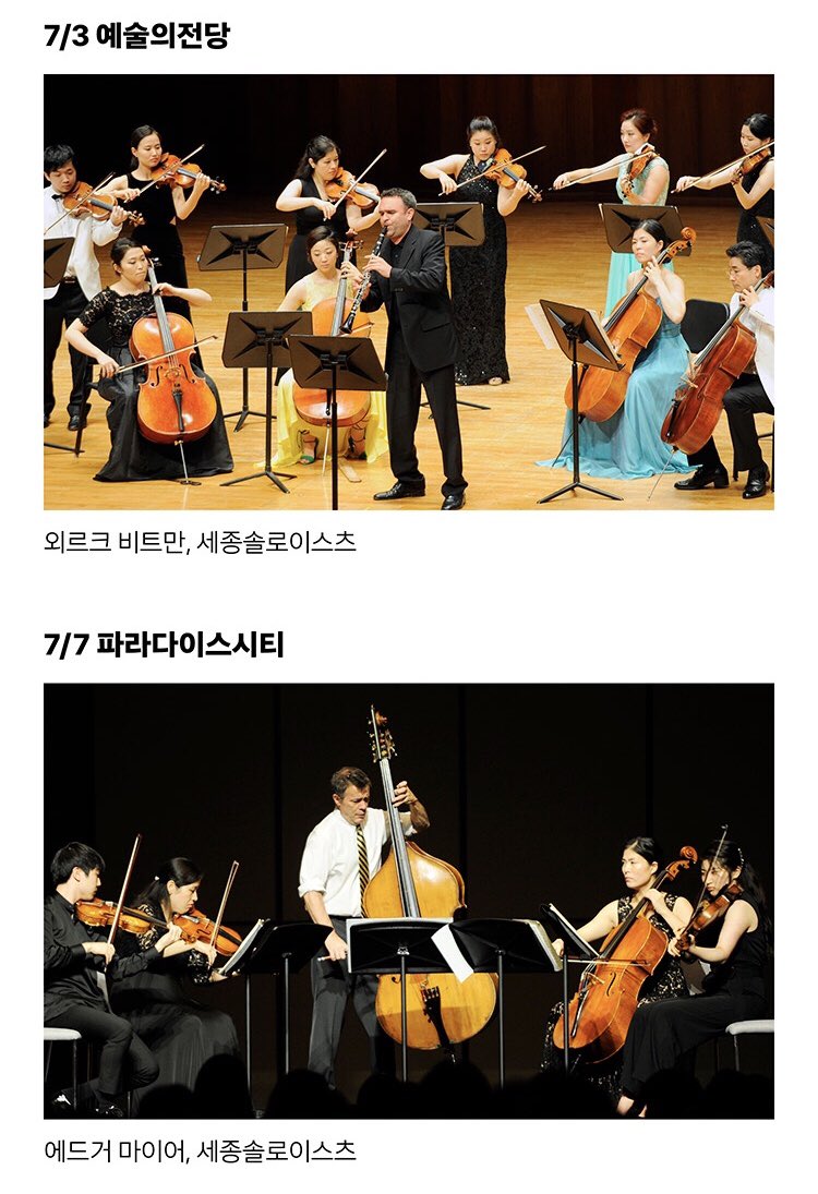 세종솔로이스의 2018 Year in Review