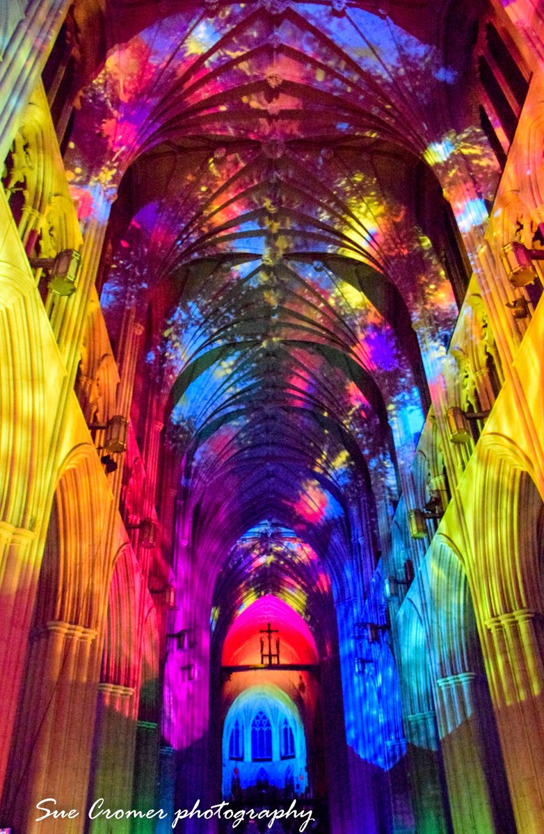 SueCromer's tweet photo. A few of the photos from the #WashingtonNationalCathedral Light Show: #SeeingDeeper There are lots and I'm still going through them and editing. There will be posts for days! Enjoy! https://t.co/QGz2u1gQdT
