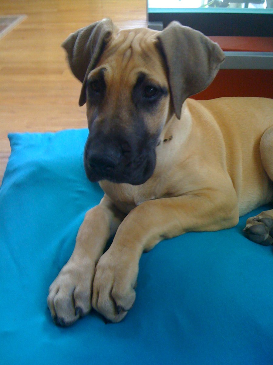 #bestathomecontest