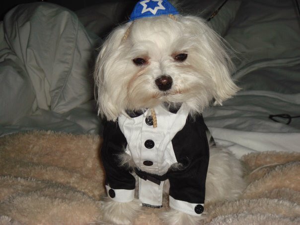 #BestAtHomeContest #barkmitsvah