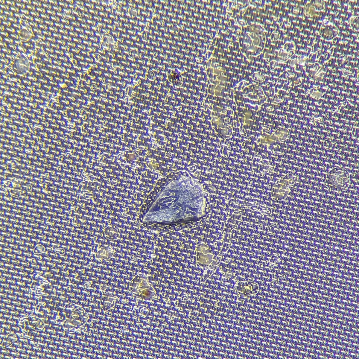rufino_varea's tweet photo. Slowly unravelling the findings of phase 1 of my #Microplastics experiment @UniofAdelaide in collaboration with @UniSouthPacific. #Plasticfilms & #microfibers! We'll see how everything turns out. Still finding my way around the categorisation. #ResearchHighlight with @The_ACU . https://t.co/0lPxYazvNc