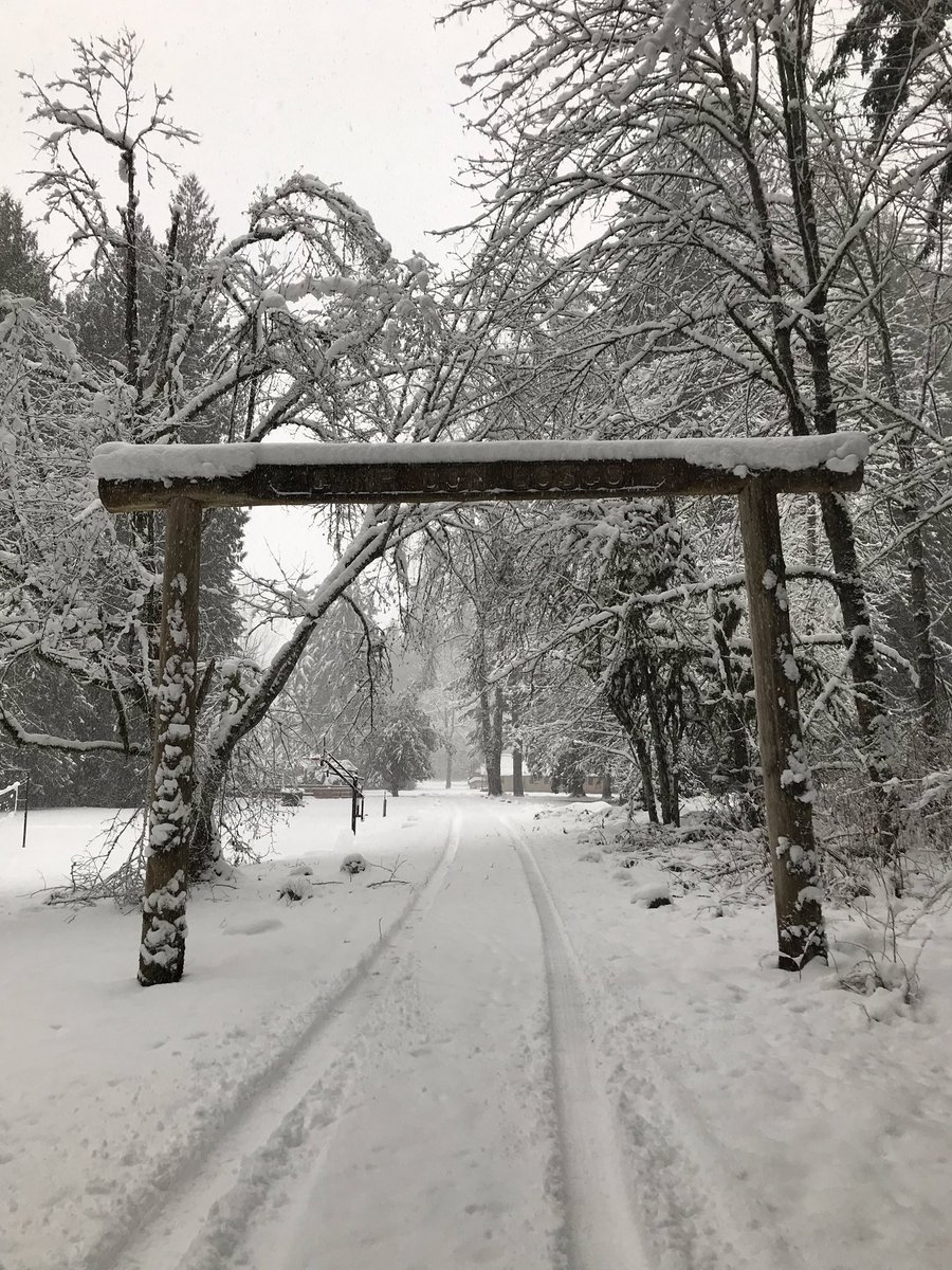 RandlesShaune's tweet photo. Camp Don Bosco has a little snow... it’s been fun playing in this winter wonderland! #adventure #carnationwa #cyosummercamp #WinterWonderland #Snowmaggedon2019 https://t.co/E0boluSThT