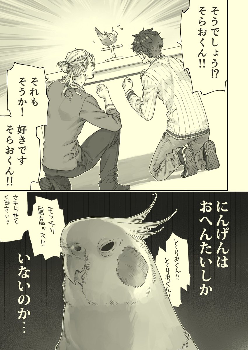 そらおくん(@okamesorao)がおへんたいまんがをご所望でしたので…。
(勝手に描かせていただき失礼します)

#鳥ジャンキーズ
#オカメインコのそらおくん
#おへんたいとたたかう 