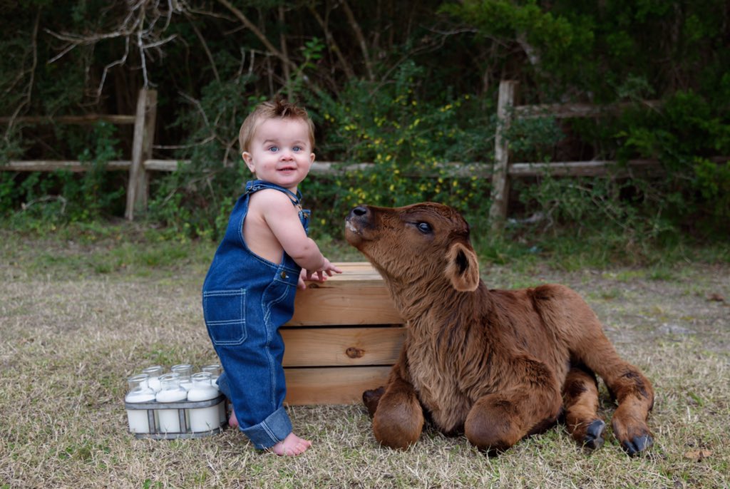 The_Hawkk's tweet photo. only the cutest kid ever, ur welcome https://t.co/AzCAQdWMvv