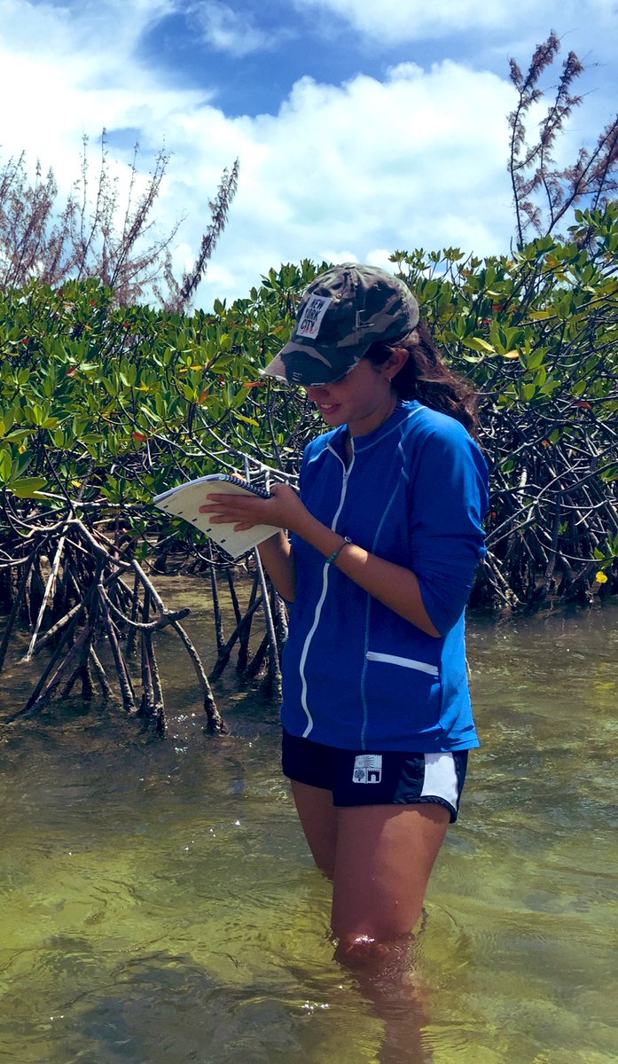 WHSB_STEP's tweet photo. Sea of change.....International Day of Women and Girls in Science 💙feeling inspired by this generation and the next............ #InternationalDayofWomenandGirlsinScience #windsorschoolbahamas https://t.co/zZI4tBMxes