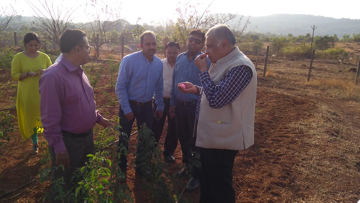 Two days awareness-cum-training program organized at KKV, Dapoli Maharashtra in collaboration with aroma industries Nishant Aroma & Pitambari product Pvt. Ltd. for the expansion of CSIR-Aroma Mission @ Konkan. About 100 farmers participated.