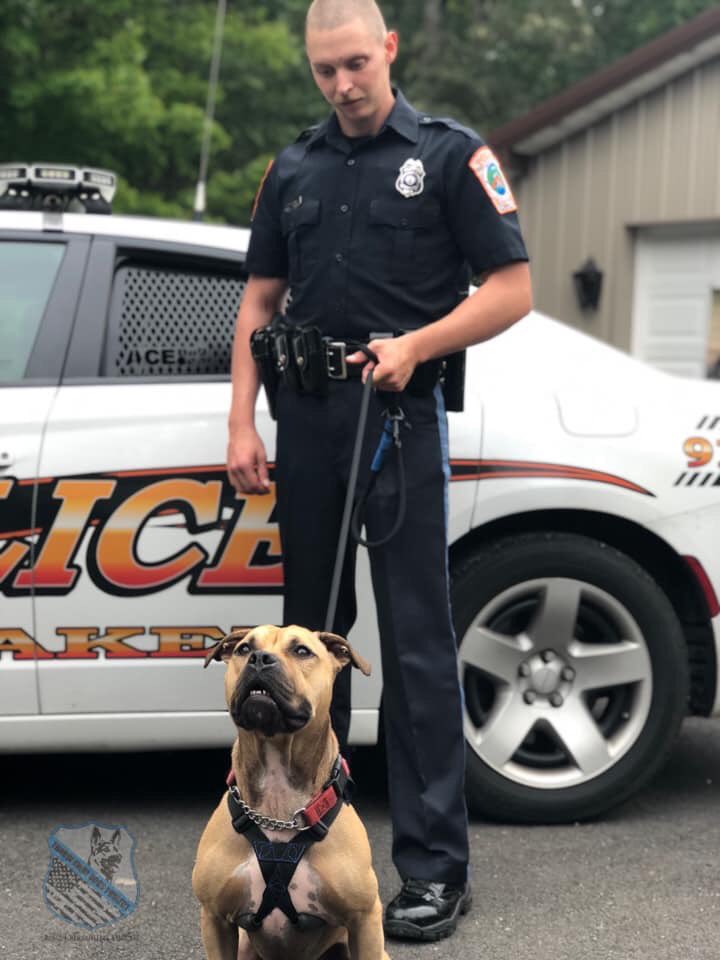 CarolSkaziak's tweet photo. Yes... it is possible!!! #PitbullsForPolice ThrowAwayDogs K9 Dallas @Throwawaydogs @natgeowild @AnimalPlanet @BravoTV @TLC @Hallmark @RachaelRayShow @dogtalesrescue https://t.co/i2Rzw9yZUH