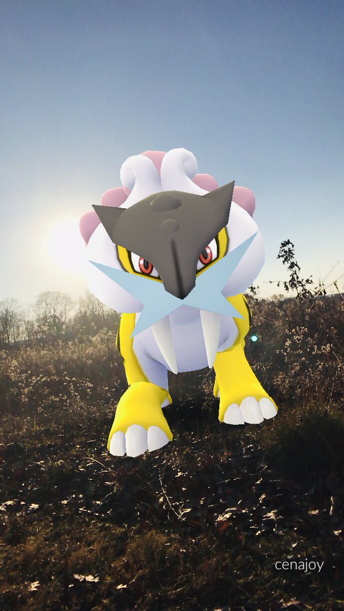 cenajoy13's tweet image. Raikou embodies the speed of lightning. The roars of this Pokémon send shock waves shuddering through the air and shake the ground as if lightning bolts had come crashing down. #pokemongo #PokemonGOARPlus #arplusmode #ARPlus #pokemongoar