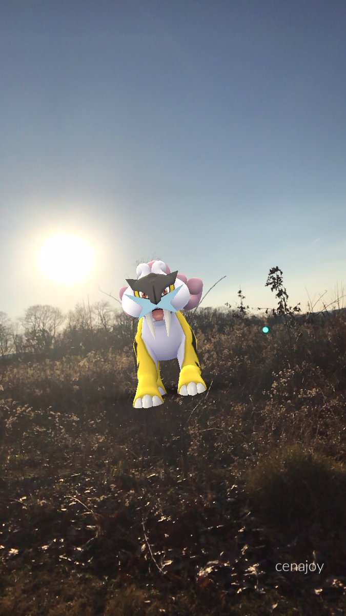 cenajoy13's tweet image. Raikou embodies the speed of lightning. The roars of this Pokémon send shock waves shuddering through the air and shake the ground as if lightning bolts had come crashing down. #pokemongo #PokemonGOARPlus #arplusmode #ARPlus #pokemongoar