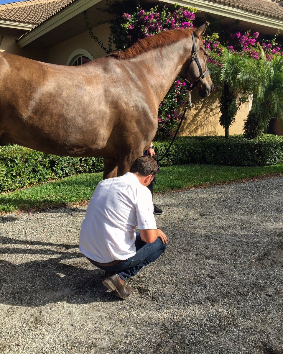 Bieke Thill tweet media