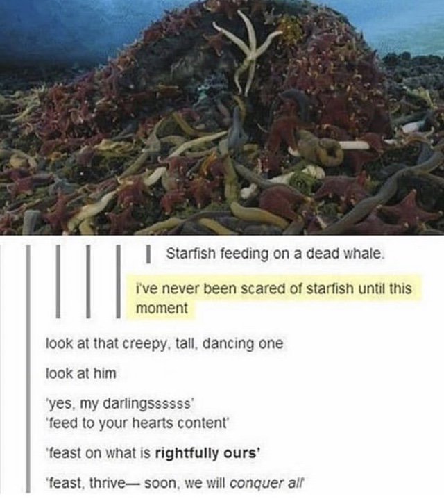 MemesWindow's tweet image. oofity-❗️
-
-
-
#dank#dankmeme#dankmemes#dankmemesdaily#dankmemez#dankmemezdaily#clean#meme#memes#memez#cleanmemes#cleanmeme#cleanmemesdaily#cleanmemez#funny#funnymeme#funnymemes#meme#cool#lol#haha#ha#verycool#laugh#lmao#lmfao#shoutoutforshoutout#sfs#s4s#😂