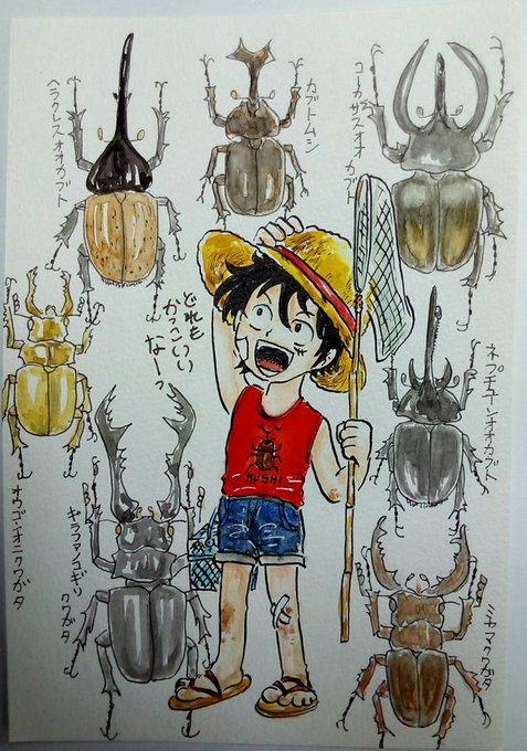 ムシキングのtwitterイラスト検索結果 古い順 ムシキングのtwitterイラスト検索結果 古い順