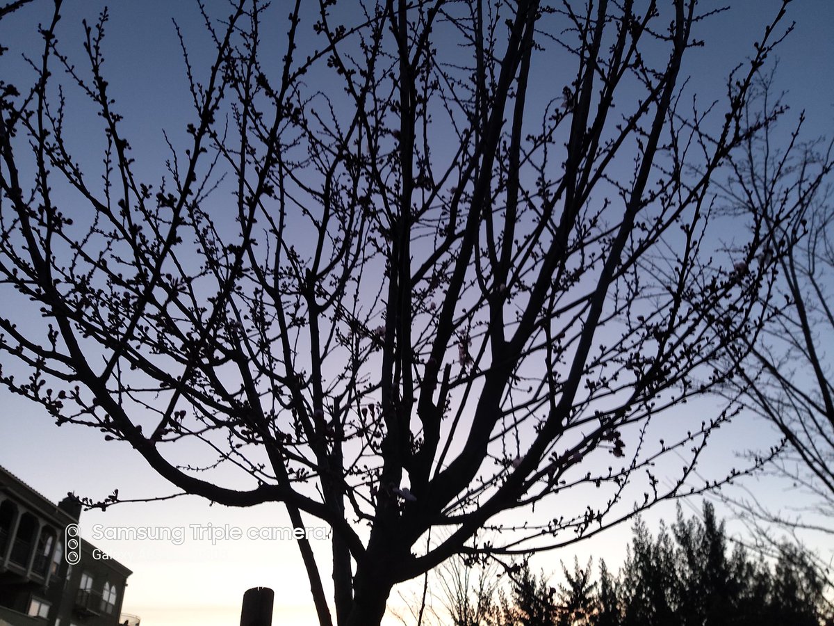 grant_likes's tweet image. A few low light shots from the #Samsung #GalaxyA8s. Honestly, better than expected.