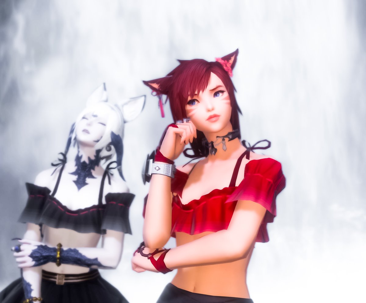 Rexco 🦋 tweet media