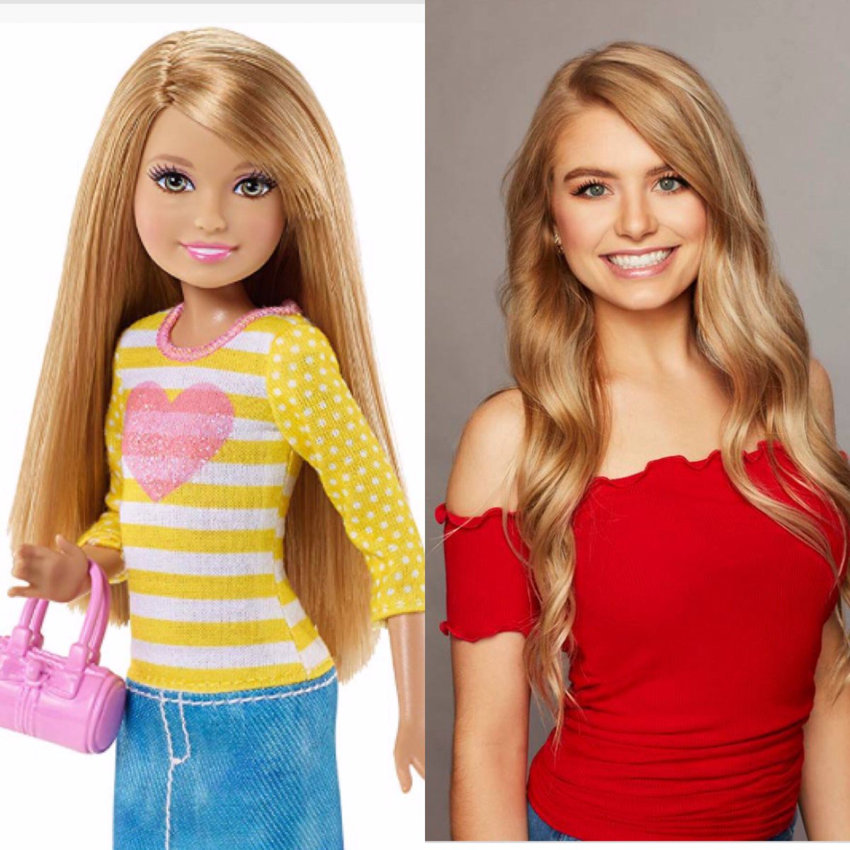 barbie's younger sister